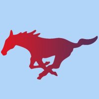 Tampa Mustangs Fowler (@tmustangs2627) 's Twitter Profile Photo Tampa Mustangs Fowler (@tmustangs2627) 's Twitter Profile Photo