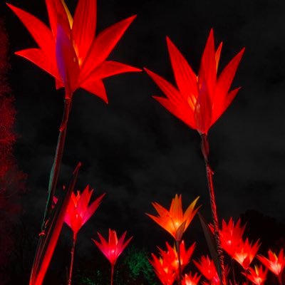 Ballyhooey's profile picture. Dog devotee. Uber nerd. PR spinner.