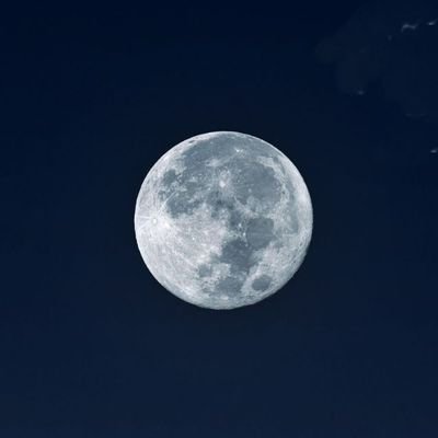 PascualCuellar's profile picture. 