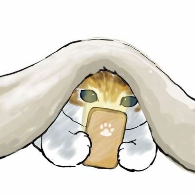 saeba1314's profile picture. 人像摄影师 约拍私信