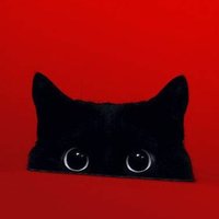 AZ RedCat ๐บ๐ธ (@crazz1818) 's Twitter Profile