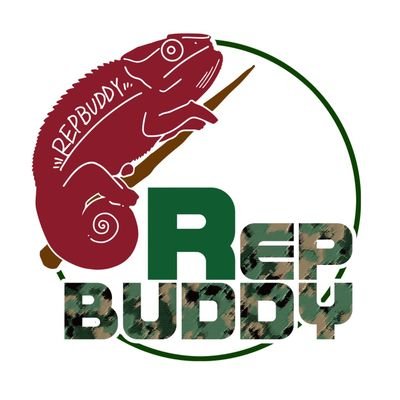 REPBUDDY入荷在庫案内