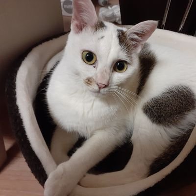 るっかるかさんのプロフィール画像