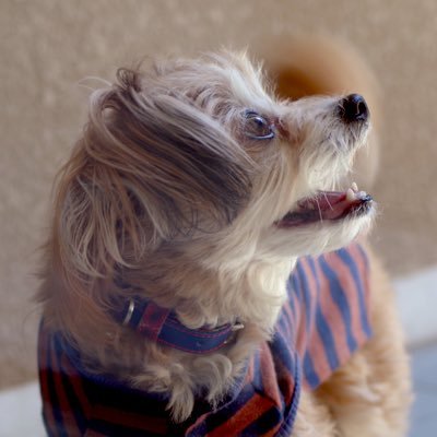 茉凛さんのプロフィール画像