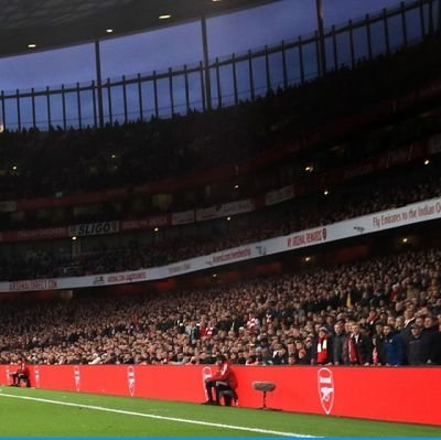 skunksx2's profile picture. dubs