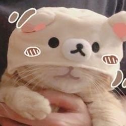 MALLOW SYS AGERE ACC :D | @DREAMINMOUSE BES SIBIN EVR - NI | dms are open !!!