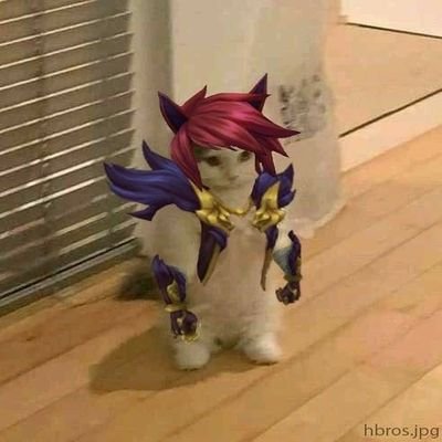 Maknnyさんのプロフィール画像