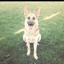 Keaton Andersen - @blackrhinoe - Twitter