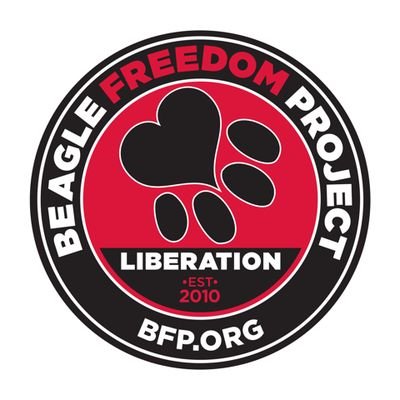 Beagle Freedom Project UK