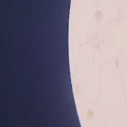 nathkrhlaru1's profile picture. 