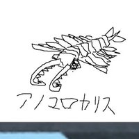 アノマロカリス@取引垢 (@anomalocaris_wt) 's Twitter Profile