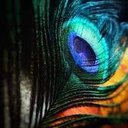 Hazel Wolf - @H_Z_L_W_L_F - Twitter