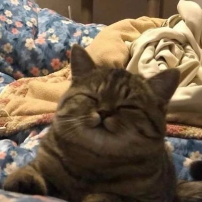 ming40061147's profile picture. 