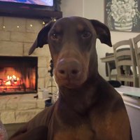 Megan Foley Luker (@meganfoley80) 's Twitter Profile