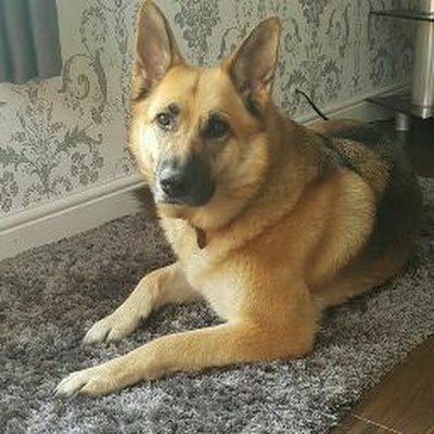 RyP43466478's profile picture. 