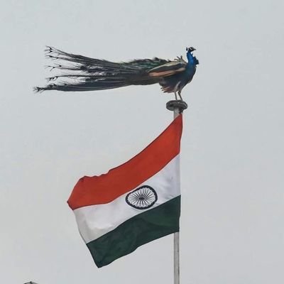 PrasThefantasy's profile picture. A truth seeker