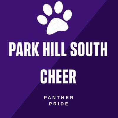 Parkhill South Cheer Team Page