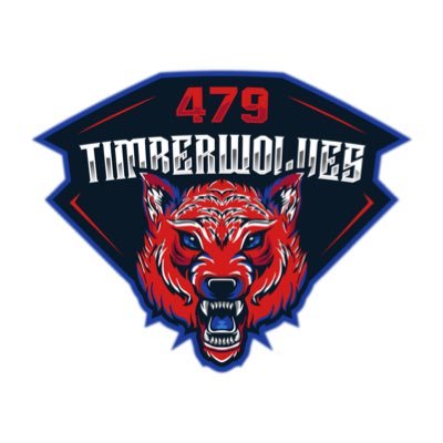 479 Timberwolves