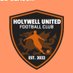 Holywell United FC (@HolywellUnited) Twitter profile photo