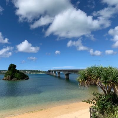 Twitter初心者です。宜しくお願いします🤲 ギリギリMZDAO初期メンバーになりました。 無言フォロー失礼します。