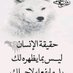 خال عدن (@mtnqltayr) Twitter profile photo خال عدن (@mtnqltayr) Twitter profile photo