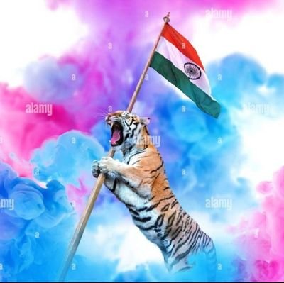 युवा मीडिया प्रभारी, अनपरा नागर पंचायत, सोनभद्र (उ•प्र•)
