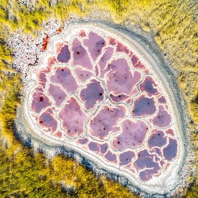 tispiriporto's profile picture. Boş bir kafa şeytanın çalışma odasıdır.