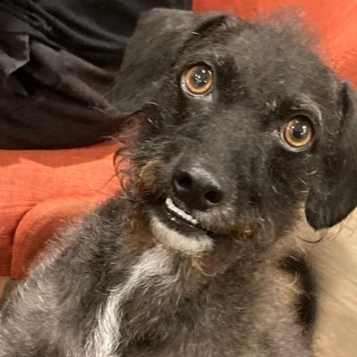 fidlar42069's profile picture. professional messy king