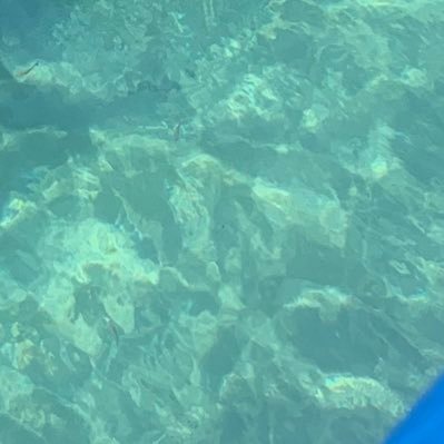 Wen_dy_bis's profile picture. Quand Je Suis Ban