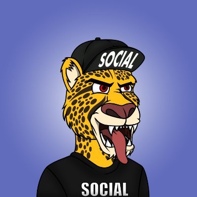 Social Cheetahsさんのプロフィール画像
