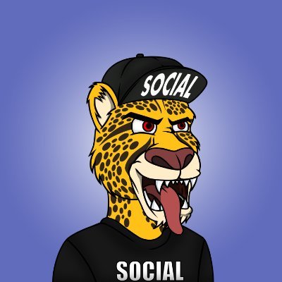 Social Cheetahs Profile