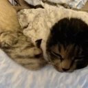 Bates Bobby - @BatesBobby3 - Twitter