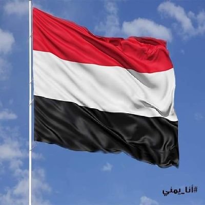 twfyqallwanyal1's profile picture.