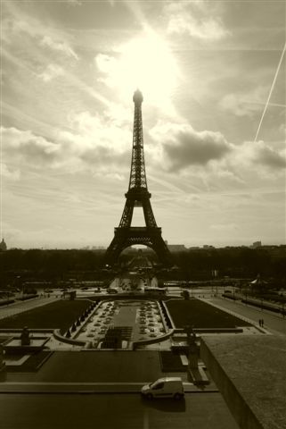 tomynard's profile picture. 時々よそ見もするけれど、常に真っ直ぐ。だけど視野は広く。