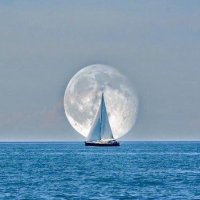 mohammedalassaf (@mohamme35810953) 's Twitter Profile