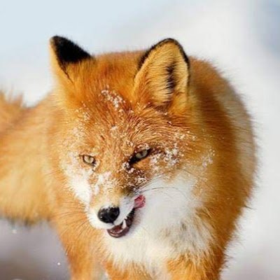 LorenzoPaques's profile picture. lorenzo paques