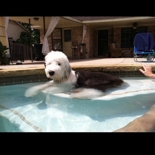 NatyChem's profile picture. 