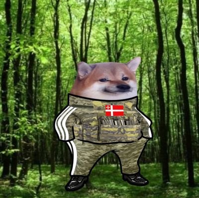 ForestVolyn Profile Picture