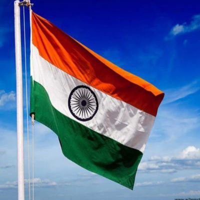 TutoringH's profile picture. May I help you?