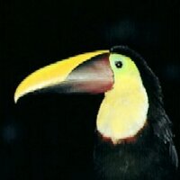 Diane Jukofsky (@infotrop) 's Twitter Profile Photo