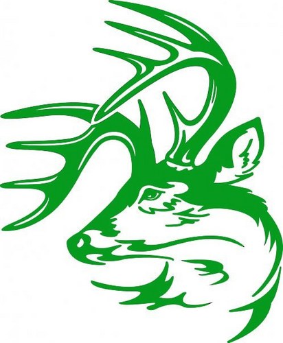 tydonham's profile picture. 