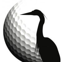 RT Golf Team (@rtgolfteam) 's Twitter Profile