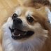 Bear (@andydepinto) Twitter profile photo Bear (@andydepinto) Twitter profile photo