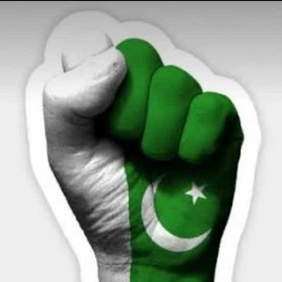 alishaekh3's profile picture. 