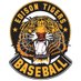 Edison Baseball (@edisontigerbb) Twitter profile photo