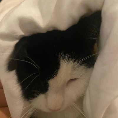 euri4sさんのプロフィール画像