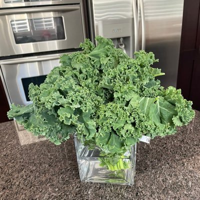 parisej17's profile picture. I am right  handed