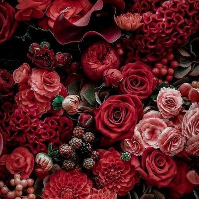 PennyHolliday3's profile picture. 