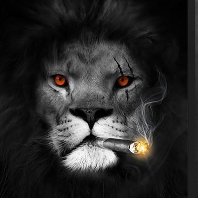 IqbalAhmedDar2's profile picture. 