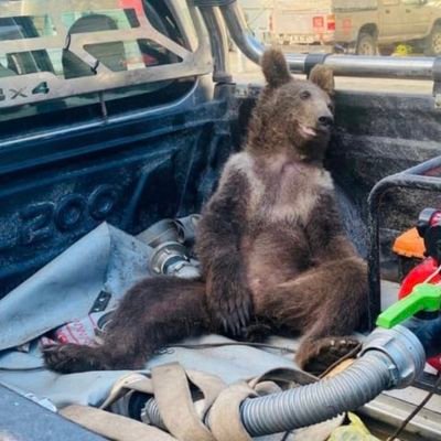 melisa_yy's profile picture. 